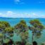 Lago Trasimeno: l’incanto del “velo d’argento” per un soggiorno in Umbria
